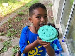 1ade661f-b127-4967-9140-00cc19499115 (Copy)